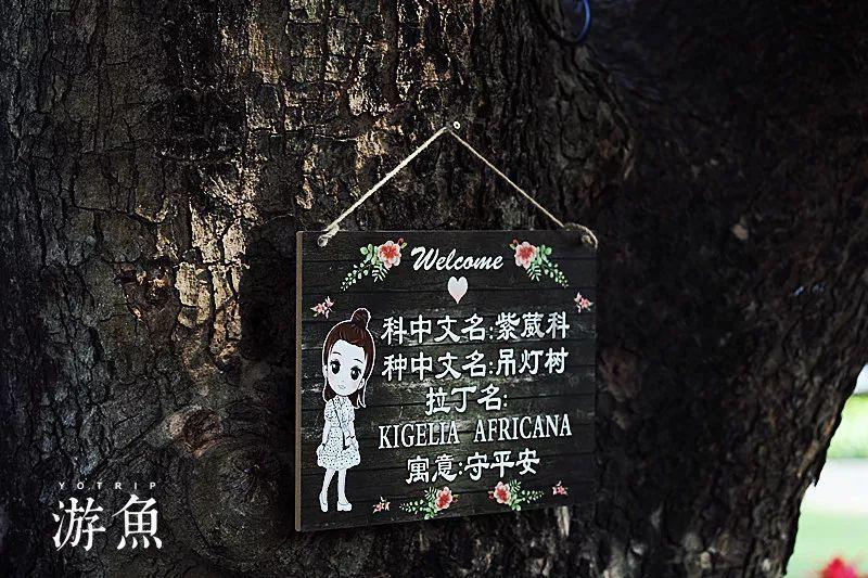 作为讨好型人格，你觉得自己活得累吗？