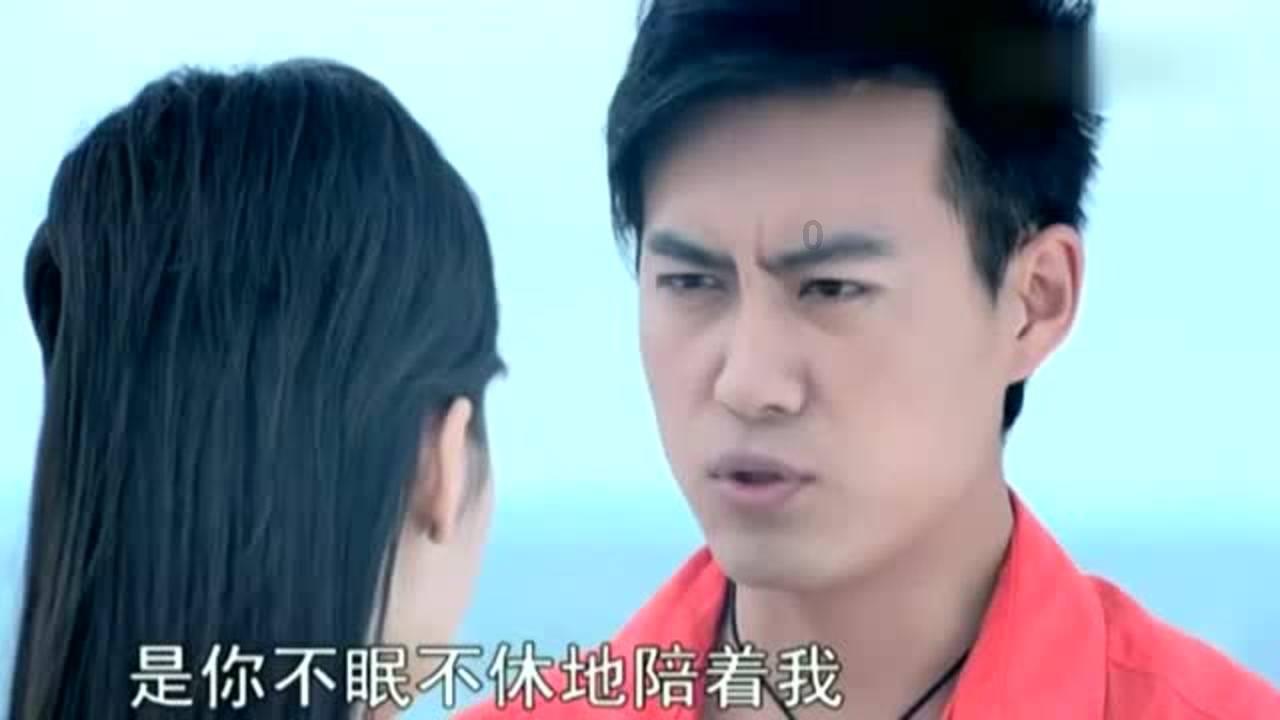 动物帮帮忙保卫家园