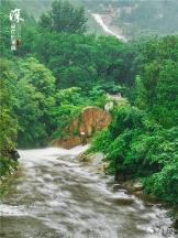 春雨直播app